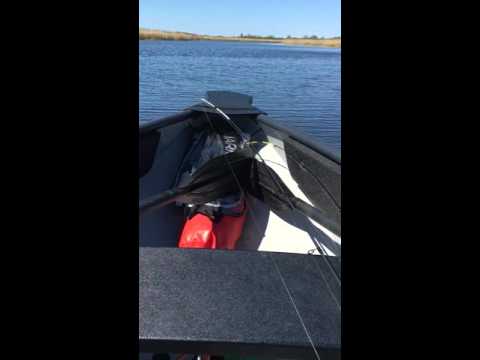 Porta-Bote 8" - 06.05.2016.