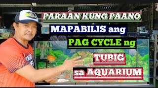 PAANO MAPABILIS ANG PAG CYCLE NG TUBIG SA AQUARIUM