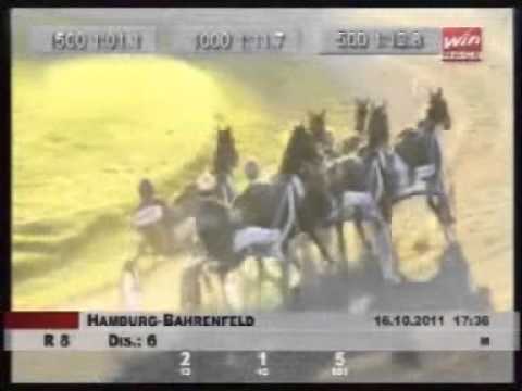 Hamburg-Cup - Finale - Calamara Donna (