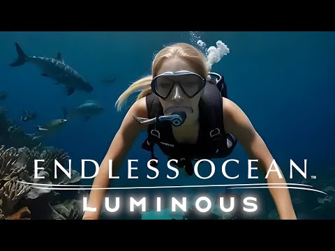 Ich bin enttäuscht von Endless Ocean Luminous 🐋