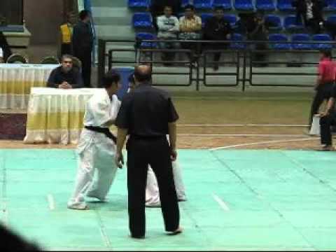 Kyokushin 2010 Iran