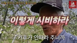 [사과재배] 이렇게 하니 해마다 좋아요/우수 농가사례