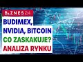 Żabka Na Plus PGE W Dół Analiza GPW