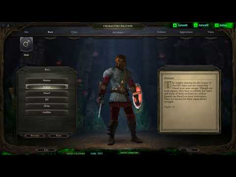 Lets play Pillars of Eternity blind playthrough!