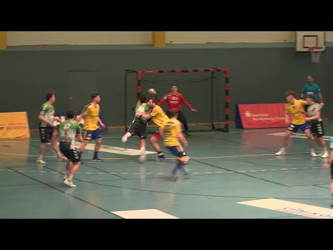 Die Schweriner Handballstiere starten in den Ligapokal