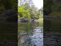 Nature WhatsApp Status Tamil Ilayaraja Melody Songs WhatsApp Status Tamil Ilayaraja Melody