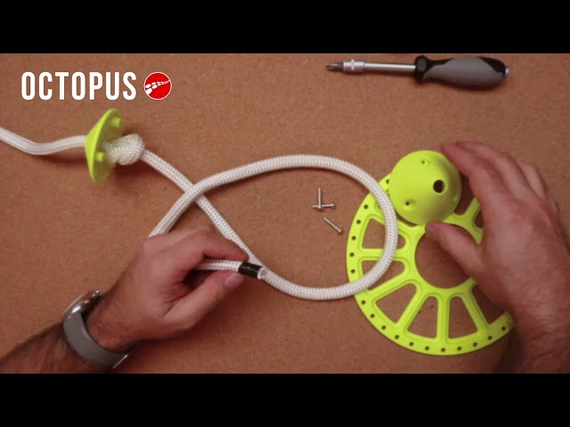 Plaque inférieure jaune Octopus Freediving vidéo Plaque inférieure jaune Octopus Freediving vidéo