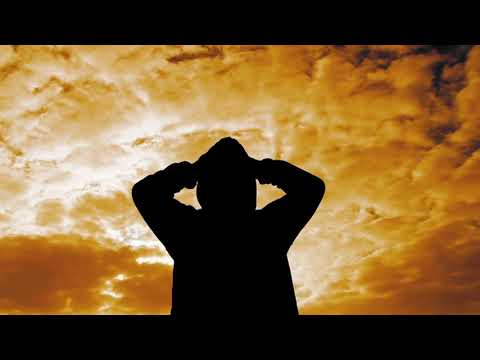 RIS3  King of My Own