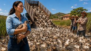 A Granja Jogou Fora 2 Mil Patos Doentes no Brejo Dela — 5 Anos Depois, Ela Comprou a Granja