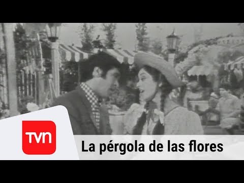 Pérgola de las flores en TVN | 1975