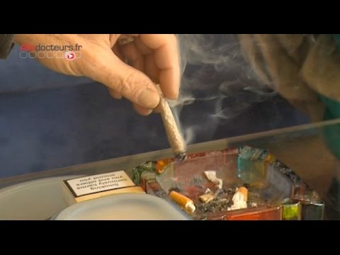 download lagu mp3 mp4 Cannabis Sans Tabac, download lagu Cannabis Sans Tabac gratis, unduh video klip Cannabis Sans Tabac