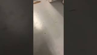 Cover art for Spider beatbox