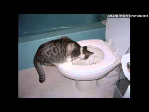 Stuart McLean - Toilet Training The Cat Part 1