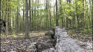 These are just a few highlights from the whole trail to give you an idea of what you're in for.  Tight turns, punchy climbs, logs, skinnies, gullies...