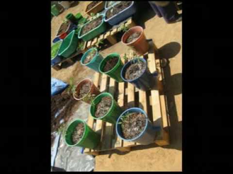 YT Kalkere photo essay