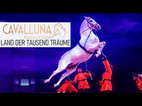 SP3CIALEFFECTS | Think Outside The Box and Sylvie Willms | Cavalluna