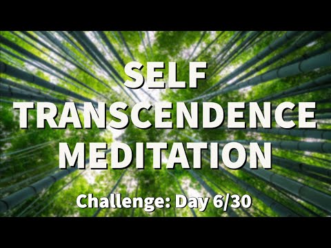 Meditation for TRANSCENDENCE - Transcendental Experience | 2022 Challenge - Day 6  | Raphael Reiter