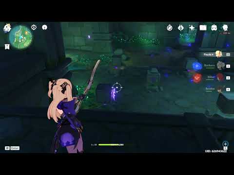 Genshin Impact | Araumi 5 electro cubes puzzle