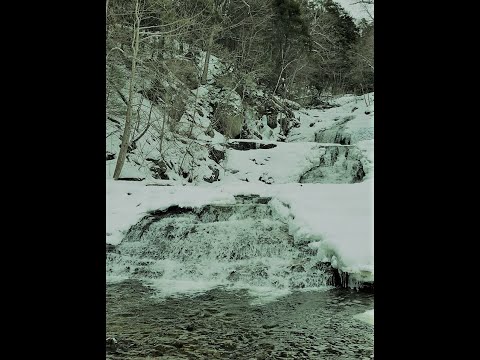 youtube embeded image