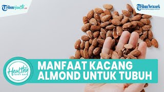 Segudang Manfaat Kacang Almond untuk Kesehatan Tubuh, Satu di Antaranya Meningkatkan Fungsi Otak