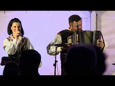 Ansambel Jureta Zajca - Dekle iz Ribnce