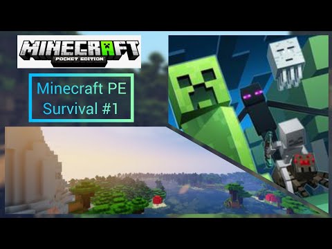 Minecraft Survival /1  | Let's play 🎮