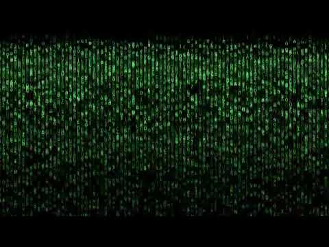 Matrix Raining Code Effect | Motion Graphics Background | Free Stock Footage 4K