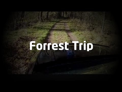 Dusterforum.se - Forest Trip
