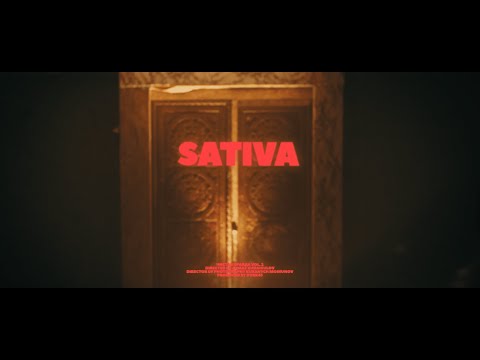 DVRK45, JusTT - Sativa