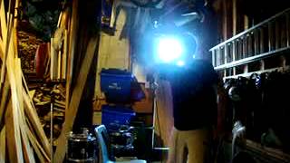 Colin Steele- guns and roses