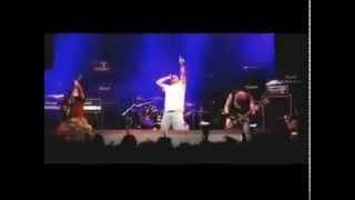 Dry Kill Logic   Paper Tiger Live