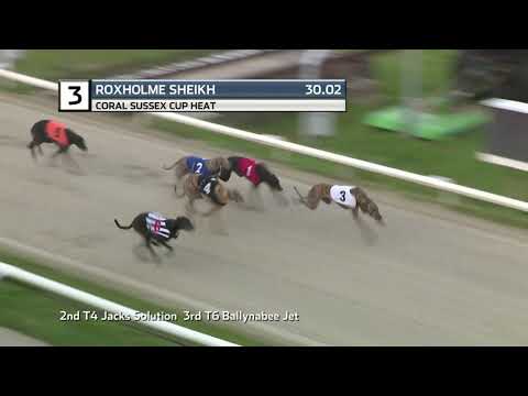 2021 SUSSEX CUP - HEAT 4 - T3 ROXHOLME SHEIKH
