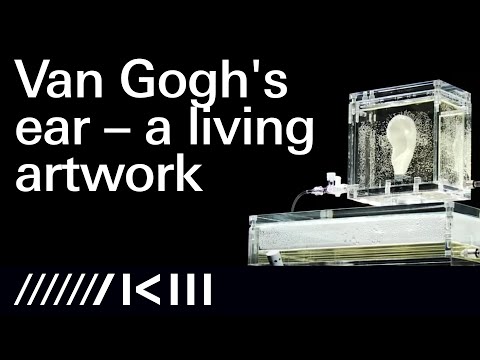 Diemut Strebe: Sugababe