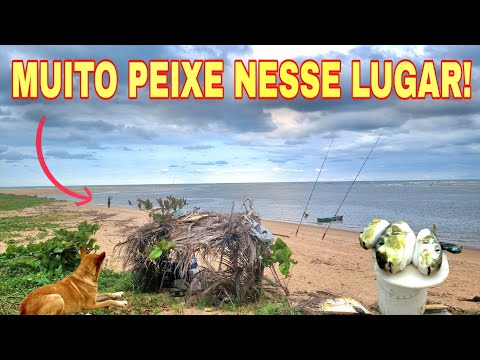 IMPORTANT TIPS!!! BEACH FISHING FOR BEGINNERS - In JUST A FEW HOURS we can fill the bucket with F...