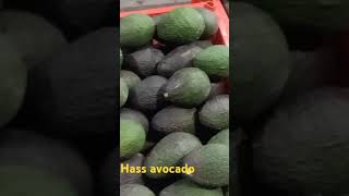 Download lagu #alpukat #alpukat hass#alpukataligator #alpukatmiki #alpukatkelud #alpukatviral #alpukatmarkus mp3