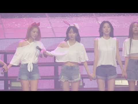 (4K60p) 220612 WJSN CONCERT 'WONDERLAND'  우주소녀  Geeminy+엔딩