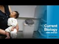 Rock-a-bye baby: Science to the rescue / Curr. Biol., Sept. 13, 2022 (Vol. 32, Issue 20)