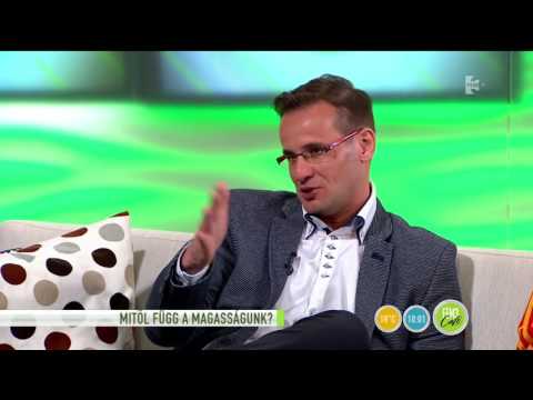 Szebeni Istvánt zavarta a magassága - tv2.hu/fem3cafe