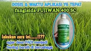 Download lagu FUNGISIDA FUJIWAN..DOSIS DAN KEUNGGULAN mp3 Download lagu FUNGISIDA FUJIWAN..DOSIS DAN KEUNGGULAN mp3