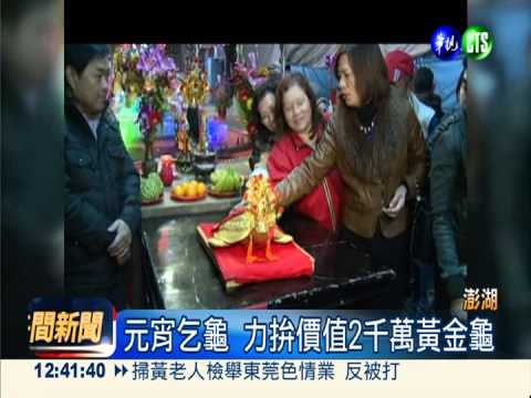 澎湖乞龜 男子4聖筊帶回黃金龜!