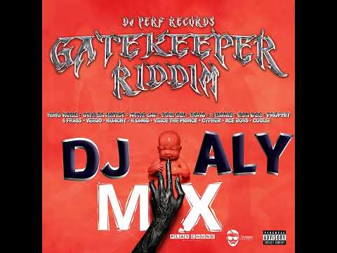 GATEKEEPER RIDDIM MIX 2025 - DJ ALY