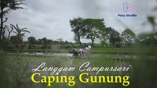Download lagu Instrumen Langgam Jawa Caping Gunung mp3 Download lagu Instrumen Langgam Jawa Caping Gunung mp3