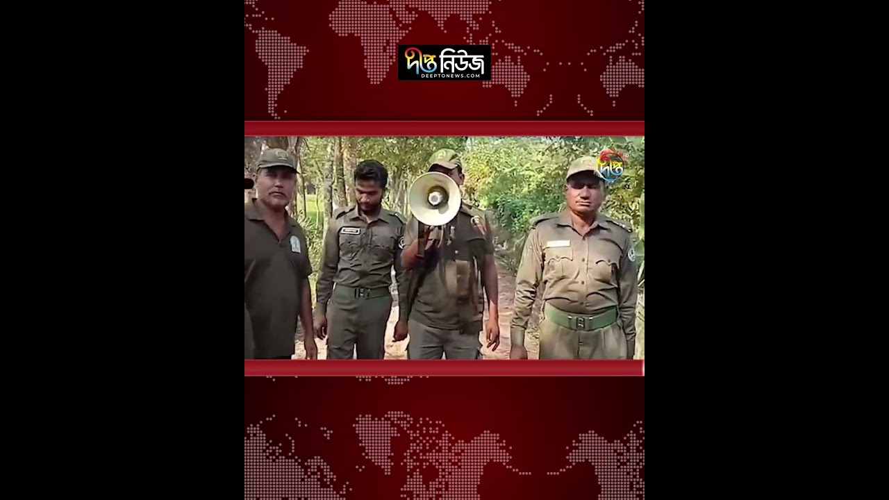 সুন্দরবনসংলগ্ন তিন গ্রামে বাঘের আ/ত/ঙ্ক, রাত জেগে পাহারা l Royal Bengal Tiger l Deepto News