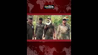 সুন্দরবনসংলগ্ন তিন গ্রামে বাঘের আ/ত/ঙ্ক, রাত জেগে পাহারা l Royal Bengal Tiger l Deepto News