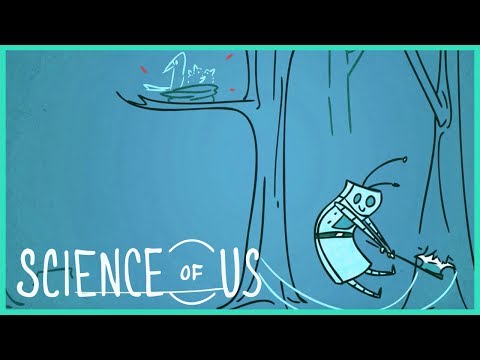 Are You a Head Person or a Heart Person?: "The Science of Us" Episode 8