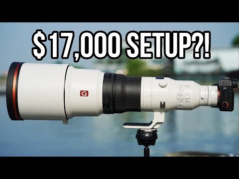 The $17,000 Sony Setup!! | 600mm f/4 G Master + 200-600mm G Lens!
