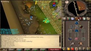 Runescape 2007 - Monkey Madness Demon without Prayer - Fatal Scars