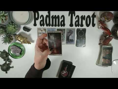 GEMINI♊️STAY CALM AND WATCH EVERYTHING CHANGE!FEBRUARY 16TH-22ND Weekly Tarot Reading 🔮💫