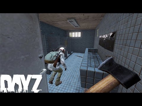 Unique Moments 3 - DayZ