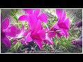 Katre Un Kaladiyai Nan Thedi Whatsapp Status
